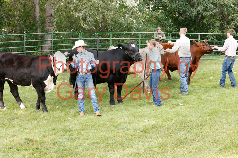 _MG_0064