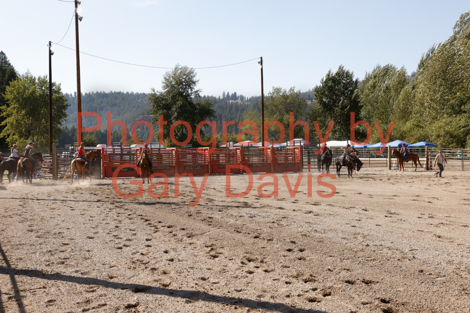 _MG_0235