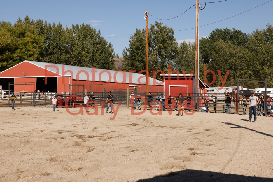 _MG_0260