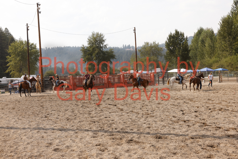 _MG_0480